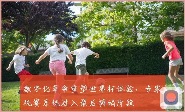 数字化革命重塑世界杯体验，专家观赛系统进入最后调试阶段