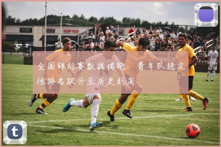 全国锦标赛数据揭晓，青年队稳定性排名跃升至历史新高