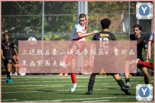 三连胜后泰山逼近争冠区，青训成果成突围关键