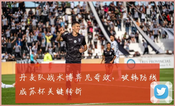 丹麦队战术博弈见奇效，破韩防线成苏杯关键转折 - 万彩官网官网