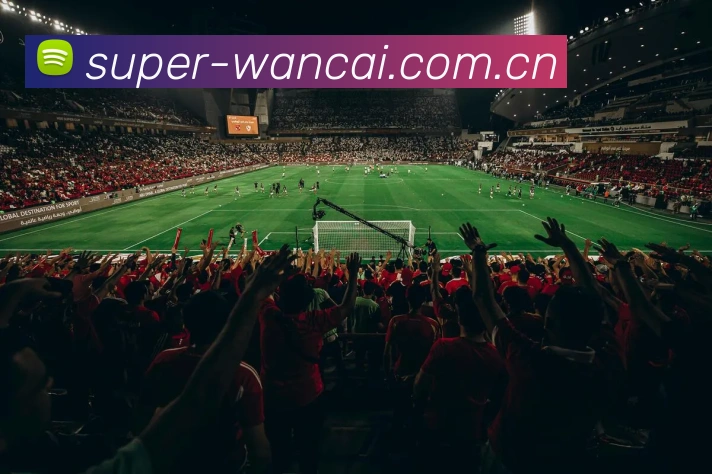 体育直播服务 - 万彩官网官网